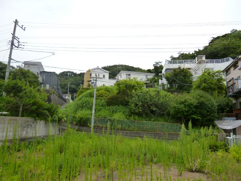 Local land photo. local