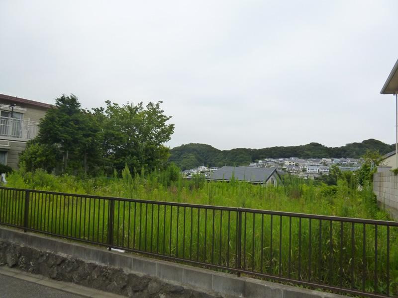 Local land photo. local