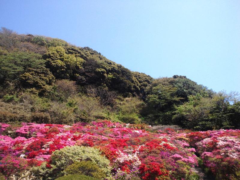 park. 450m until Hananoki park