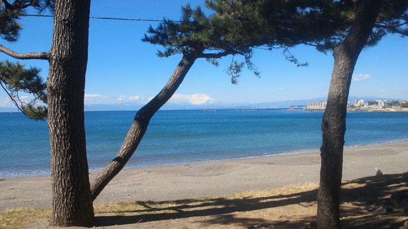 Other Environmental Photo. Isshiki coast