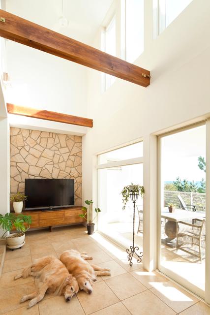 Building plan example (introspection photo). Our construction cases Home to live with pets