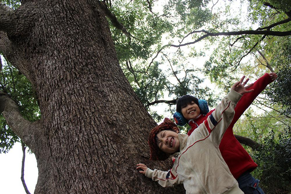 Other. The freely To parenting among the nature of Oiso.