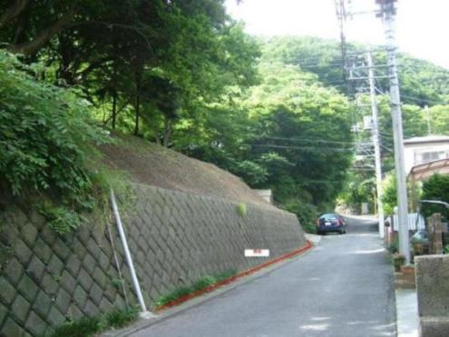 Local land photo. Local (11 May 2010) Shooting