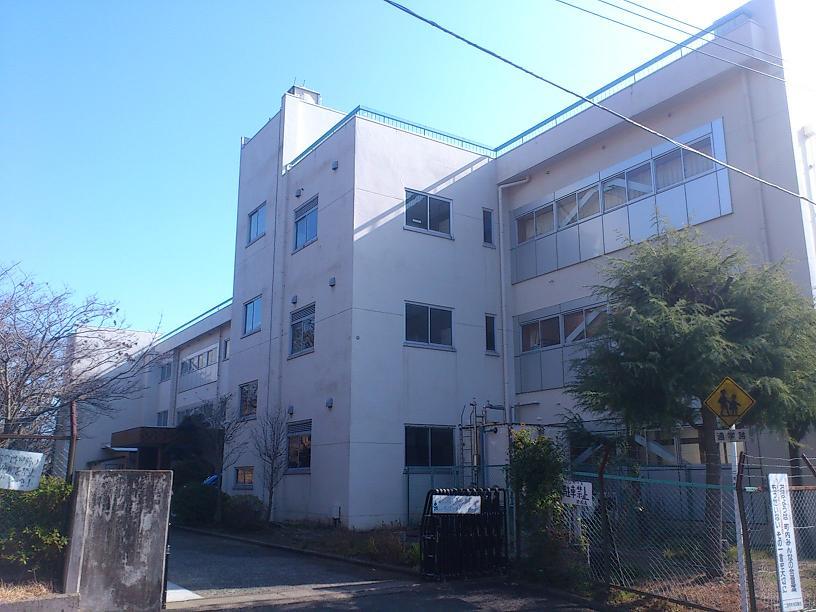 Primary school. 1600m up to one color elementary school