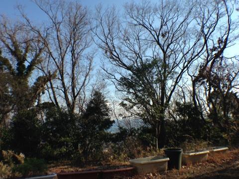 Local land photo. Local (2014 January) Shooting