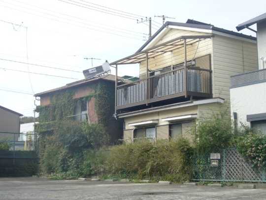 Local land photo. State of appearance