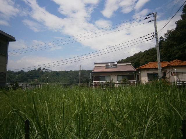 Local land photo. Local (August 2013) Shooting