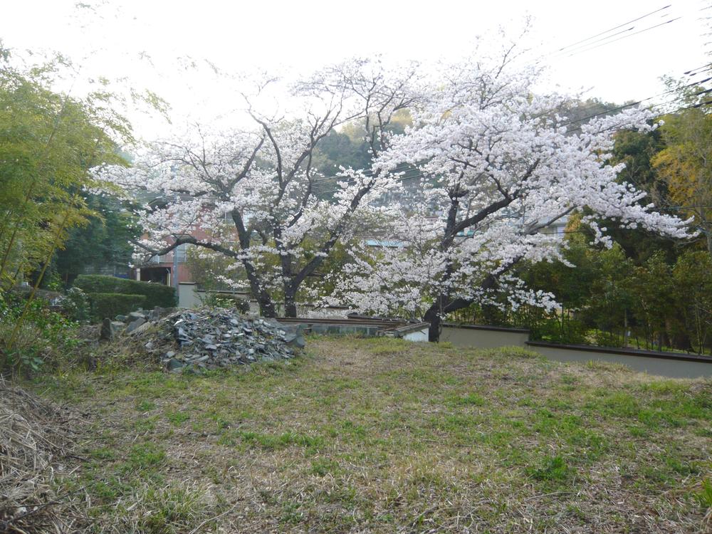 Local land photo. Local (April 2013) Shooting