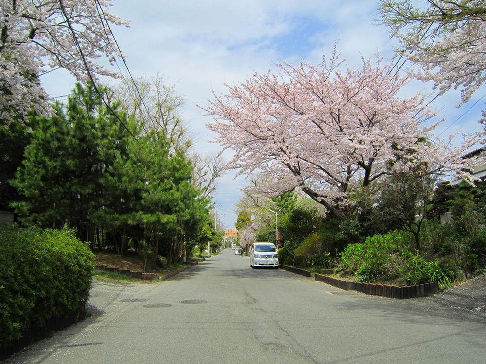 Other. Oiso surrounding environment