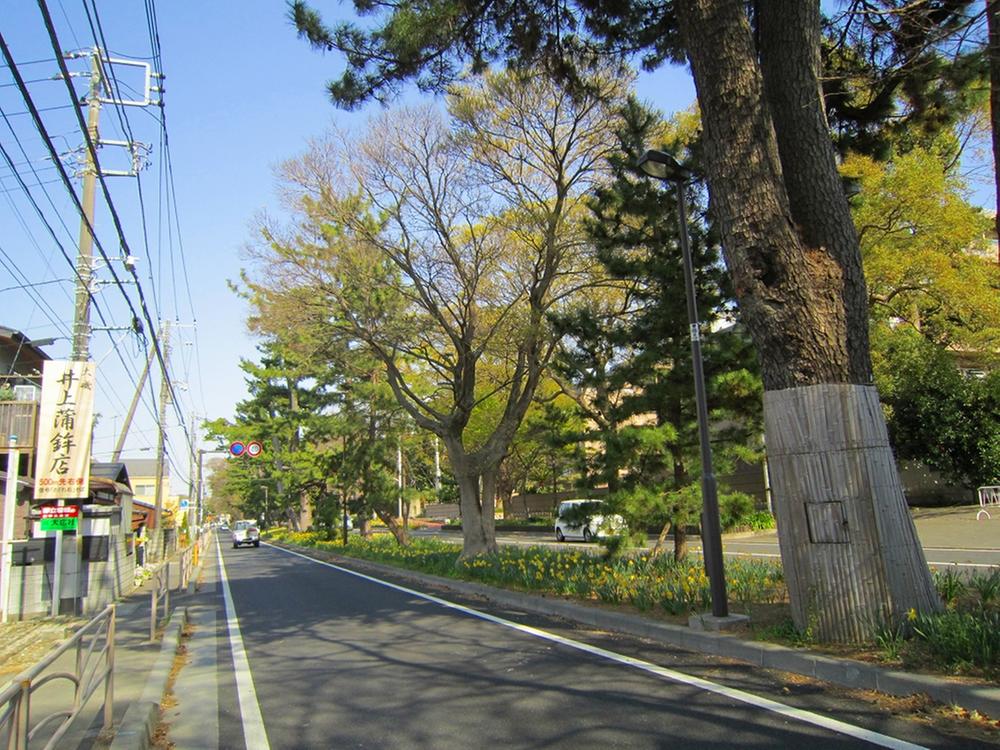 Other. Oiso surrounding environment