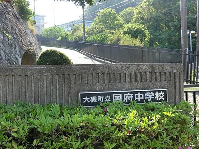 Other. Junior high school