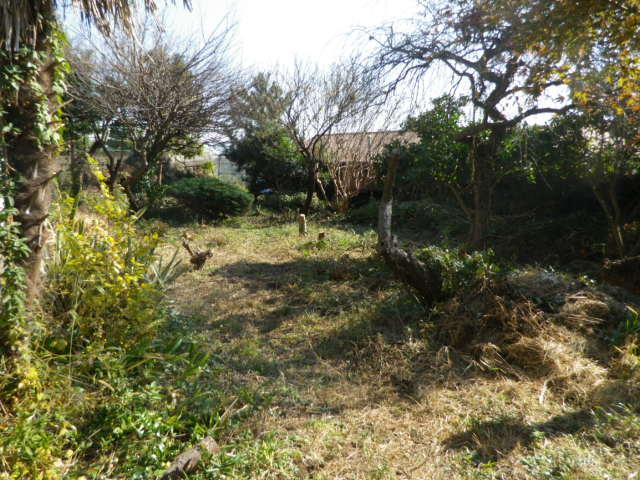 Local land photo. Local (12 May 2013) Shooting