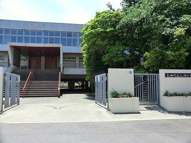 Other. Primary school