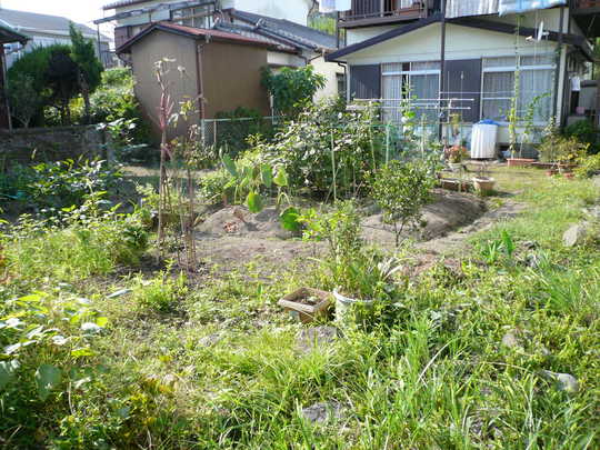 Local land photo. Local (12 May 2013) Shooting