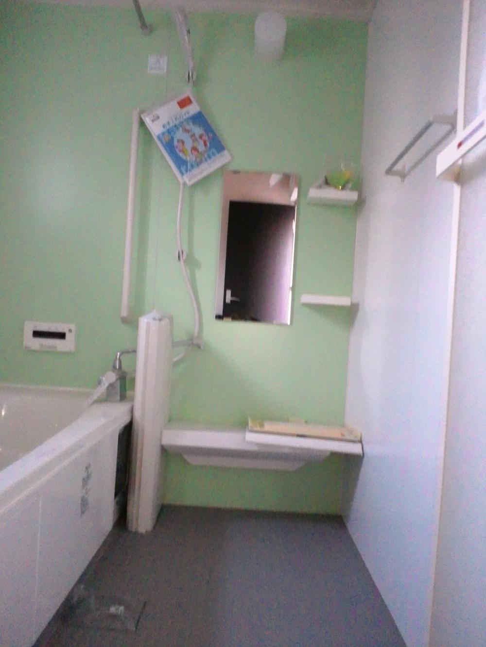 Bathroom. Interior (December 2, 2013) Shooting