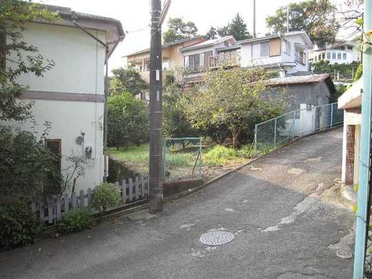 Local land photo. appearance