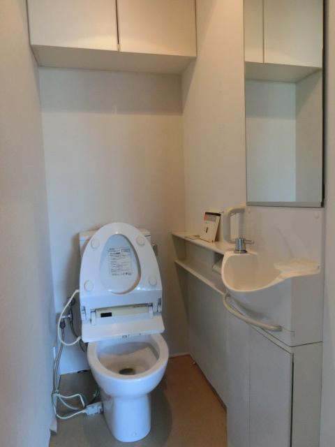 Toilet. Room (August 2013) Shooting