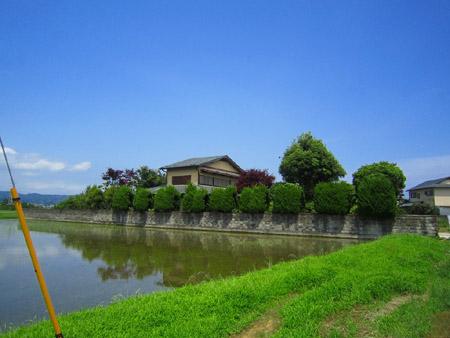 Local photos, including front road. Local (10 May 2013) Shooting
