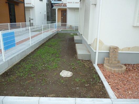 Garden. Local (October 28, 2013) Shooting