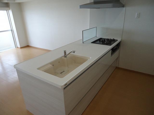 Kitchen. Easy-to-use face-to-face kitchen.