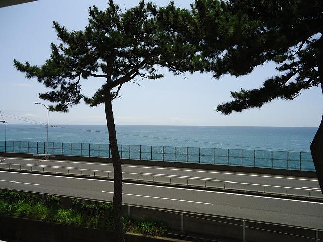 View photos from the dwelling unit. Please have a look the view from the local.