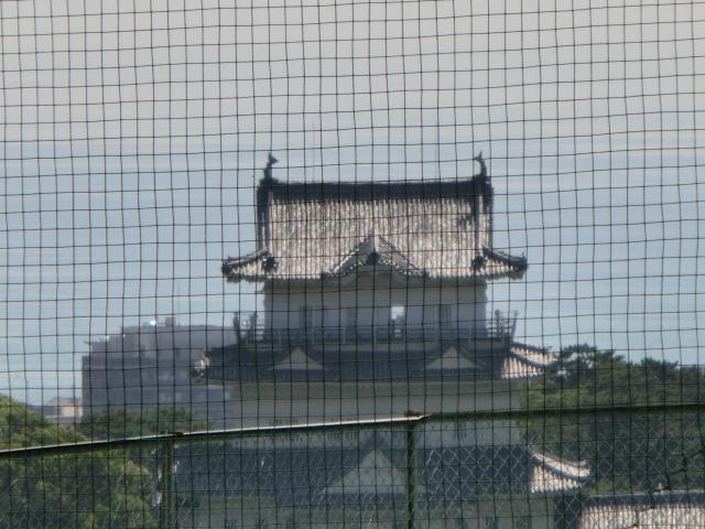 View photos from the local. View from the site (August 2013) Shooting