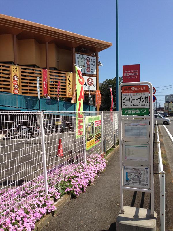 Other Environmental Photo. The nearest bus stop "Beaver climbing before."