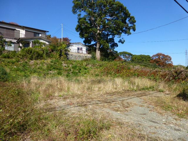 Local land photo. Local (11 May 2013) Shooting