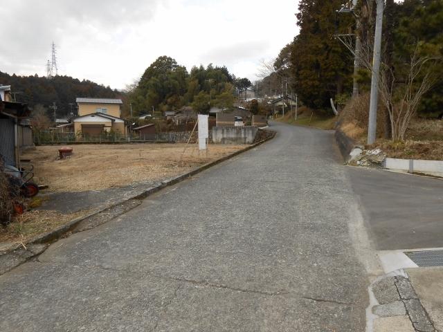 Local photos, including front road. Lush living environment