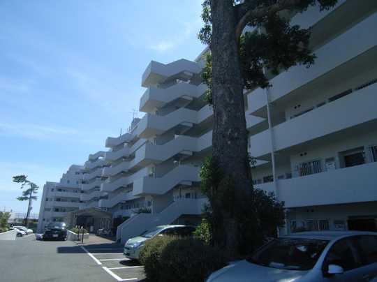 Local appearance photo. Appearance (1) (2013 December shooting)