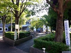 library. In front of the 50m subdivision to City Seagull Library and City seagulls library. It becomes a place of rest and read leisurely book.