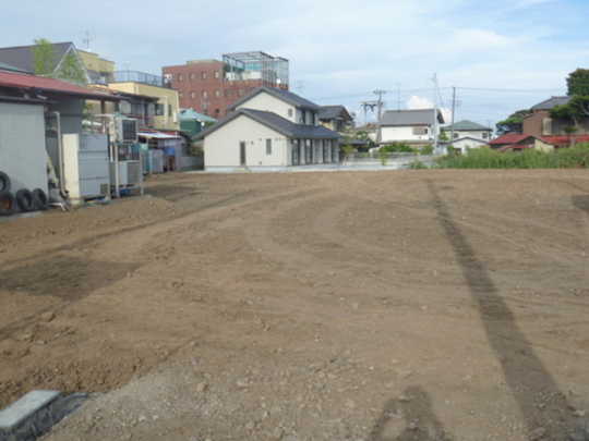 Local land photo. appearance