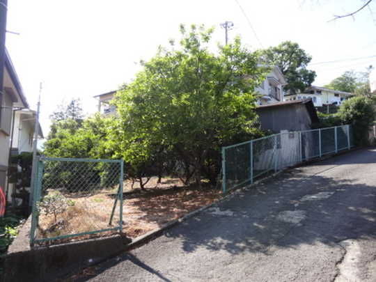 Local land photo. appearance