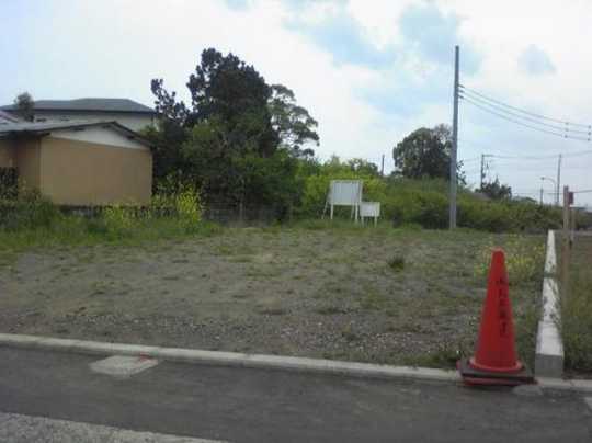 Local land photo. appearance