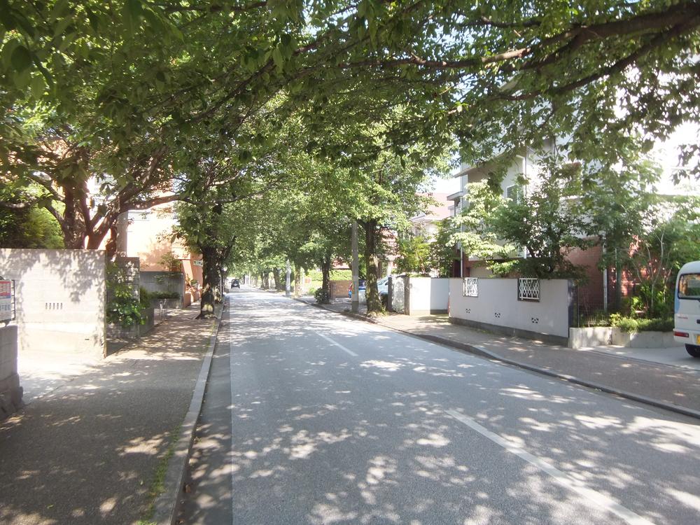 Other. Nishikoji Street Also bloom beautiful cherry blossoms in spring! !