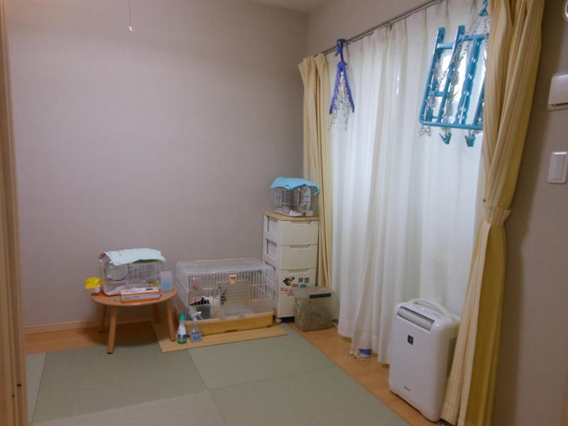Non-living room. Interior