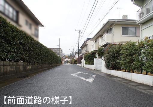 Local photos, including front road. Local (12 May 2013) Shooting