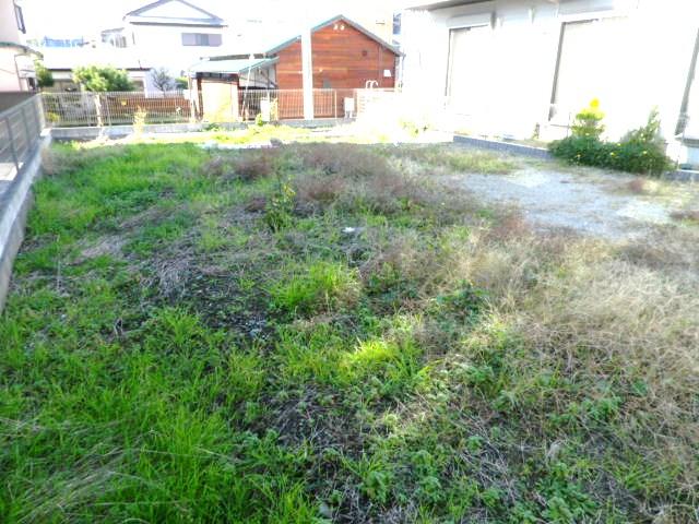 Local land photo. Local (203 December) shooting