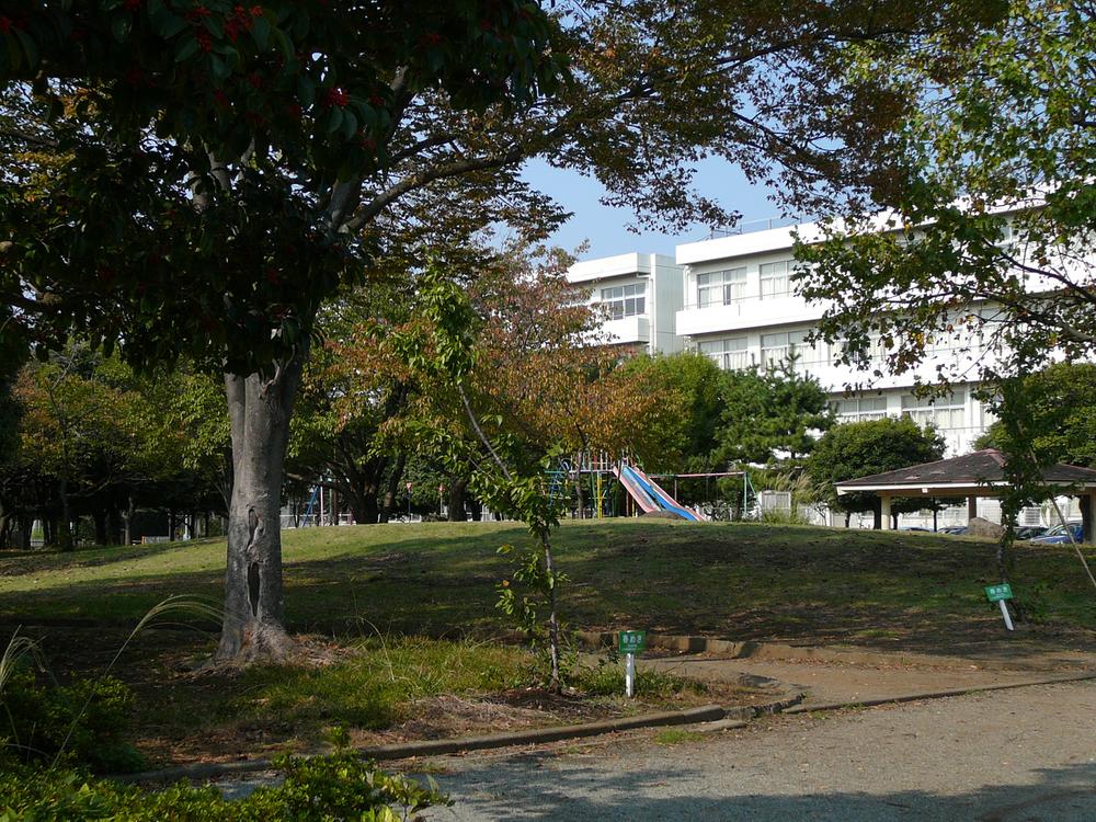 Other. Is a park adjacent to the elementary school