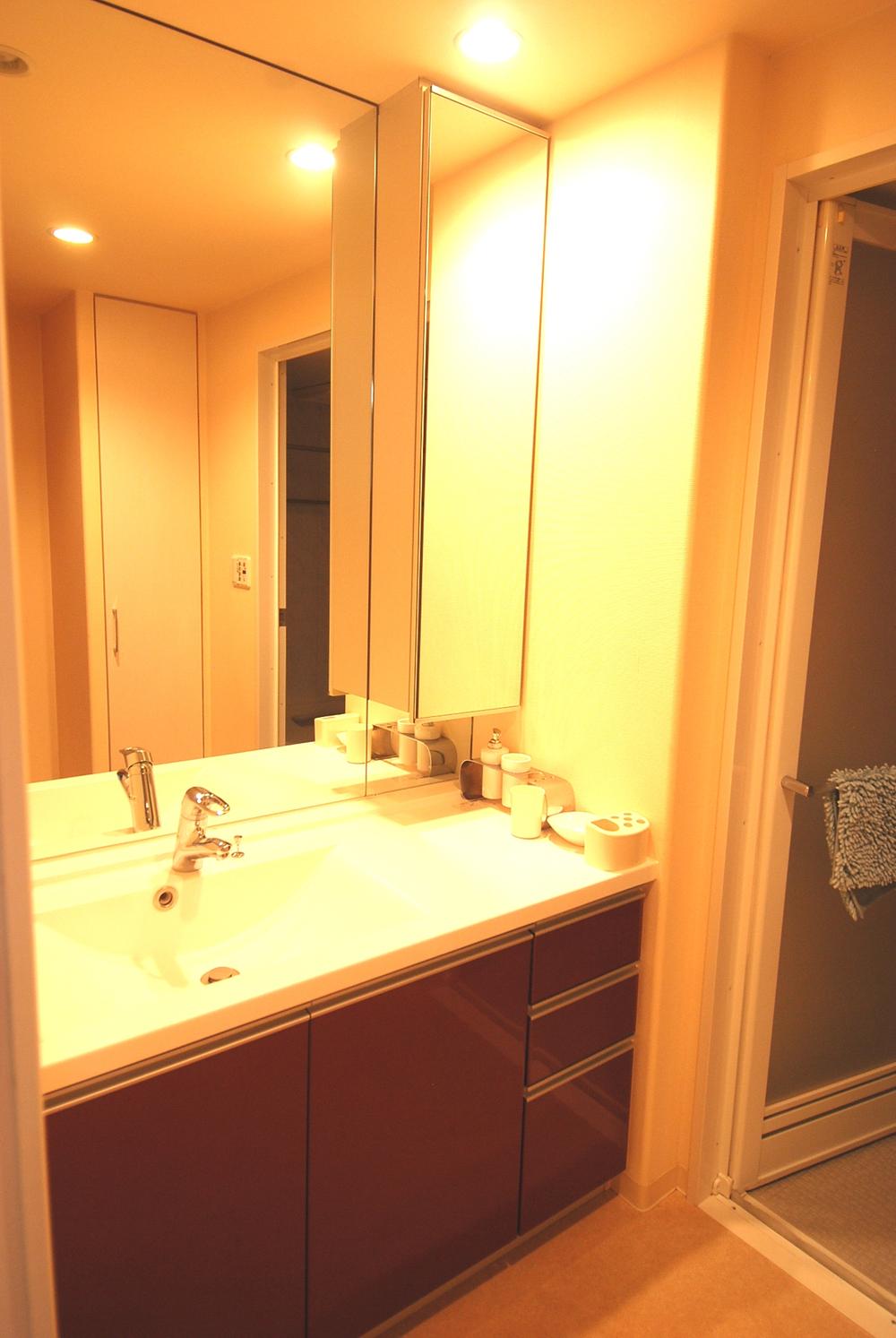 Wash basin, toilet. Indoor (2013 8) shooting