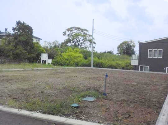 Local land photo. appearance