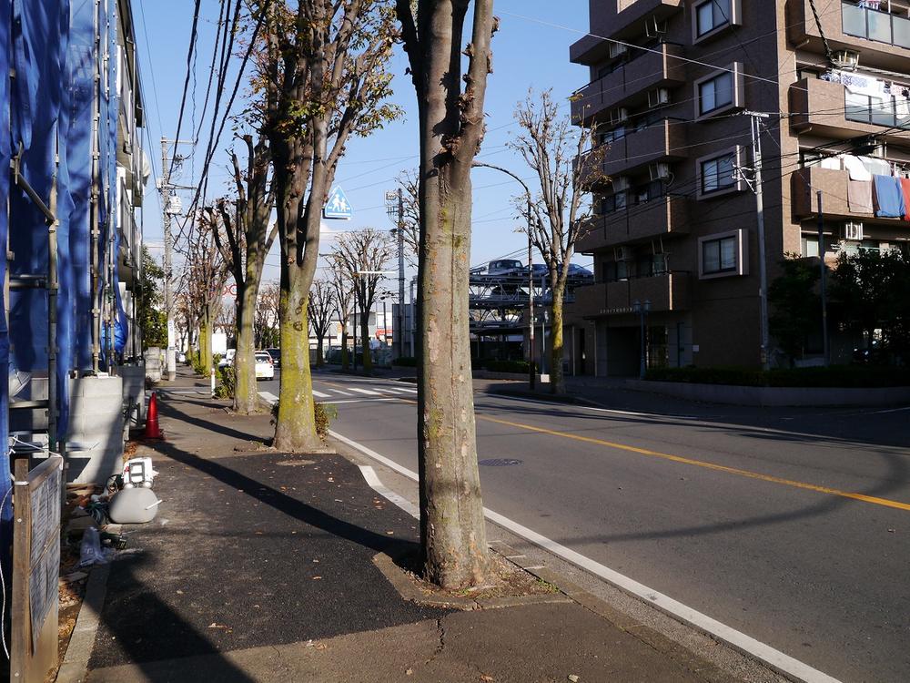 Local photos, including front road