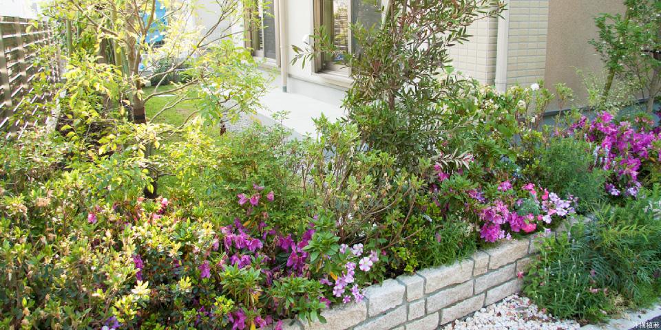 Garden. Outer groove planting