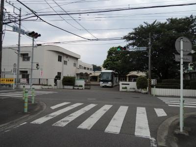 Primary school. 500m to elementary school