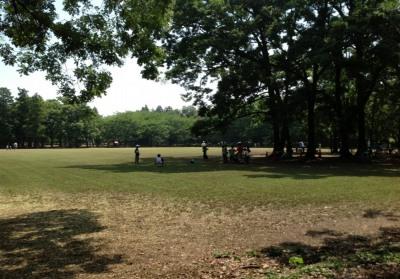 park. 500m Fuchinobe park to the park