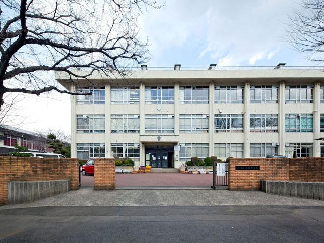 Other local. Sagamihara Municipal freshness junior high school Distance 780m