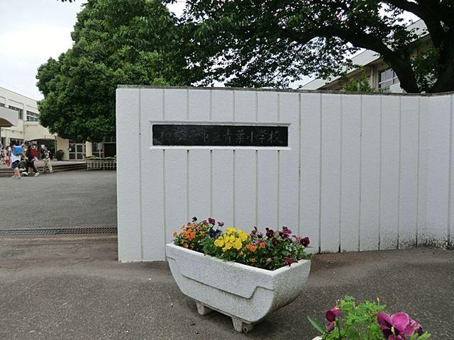 Other. Sagamihara Municipal Aoba Elementary School