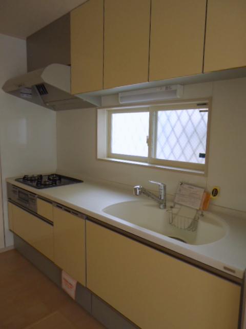 Kitchen. Wall with the system Kitchen Indoor (10 May 2013) Shooting