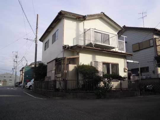 Local land photo. Appearance (1)