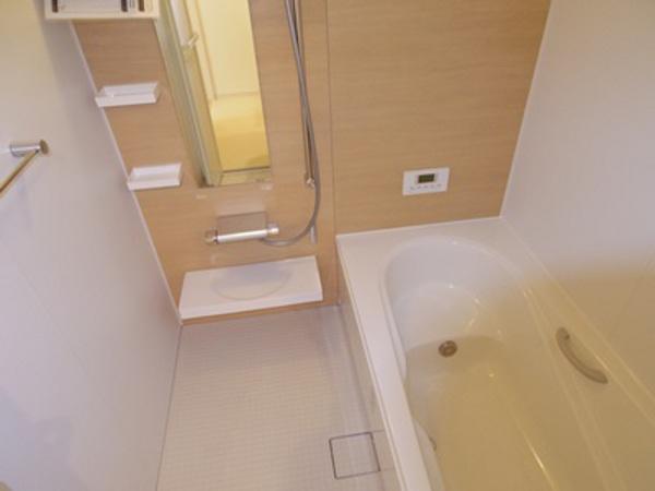 Bathroom. Indoor (February 2013) Shooting